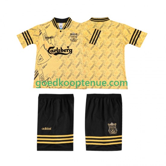 3de Retro Tenue van Liverpool LWP 1996 Kind 2-13 jaar 1994 Korte Mouw 3de Retro Tenue van Liverpool LWP 1996 Kind 2-13 jaar 1994 Korte Mouw