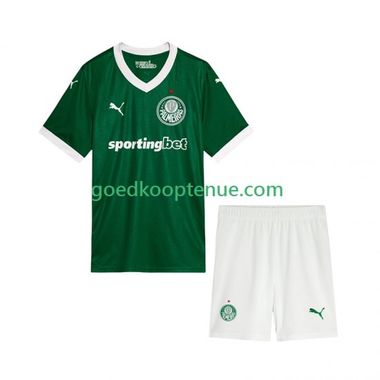 Thuis Tenue van Palmeiras Kind 2-13 jaar 2025-26 Korte Mouw