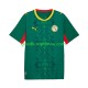 Uit Tenue van Senegal Heren 2026 2027 Korte Mouw
